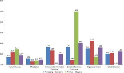 Identification of New Biological Pathways Involved in Skin Aging From the Analysis of French Women Genome-Wide Data